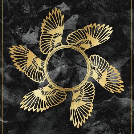 the wisdom of the bird omen readers